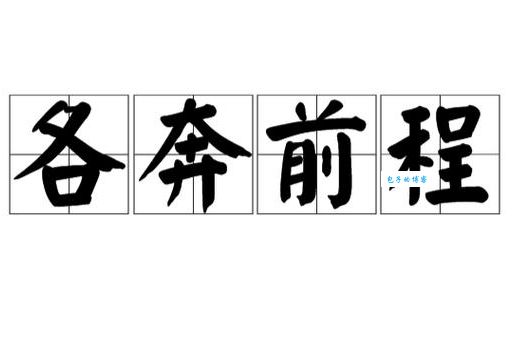 各奔前程是什么意思及例句？全面解读成语含义