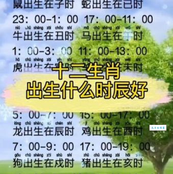 老眼昏花一当十打一正确生肖是什么？