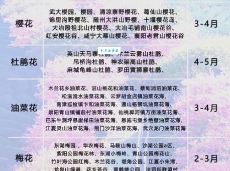 春游一日赏花前打一字是什么字？答案揭晓！