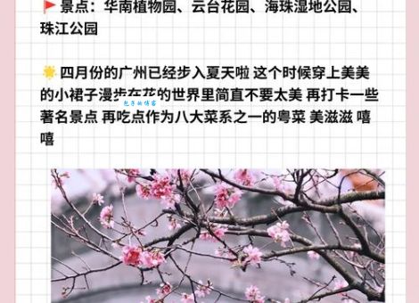 春游一日赏花前打一字是什么字？答案揭晓！