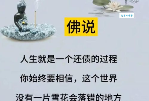 无缘无故是什么意思？一篇文章带你了解无缘无故