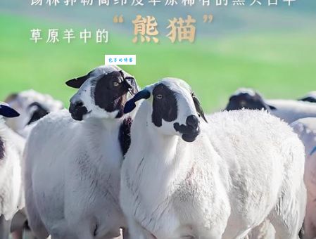 想知道涮羊肉从哪来的吗？元朝忽必烈与涮羊肉的有趣传说