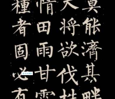 柳公权是谁？详解唐代著名书法家柳公权的生平与贡献