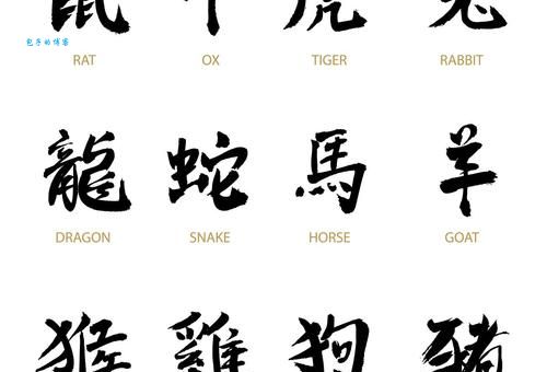 鸡犬相闻猜打一准确生肖，最新解读落实