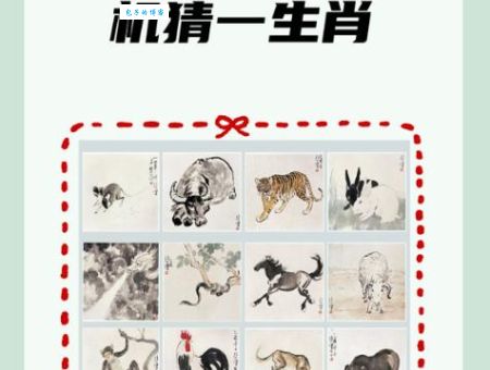 鸡犬相闻打猜最佳准确生肖，答案解答落实