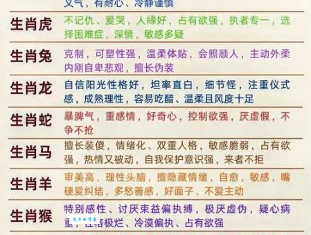 七手八脚是什么生肖，仔细解释落实