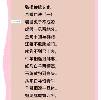 鸡犬相闻是什么生肖，仔细解释落实