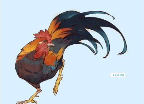 鸡犬相闻是指什么生肖，仔细落实