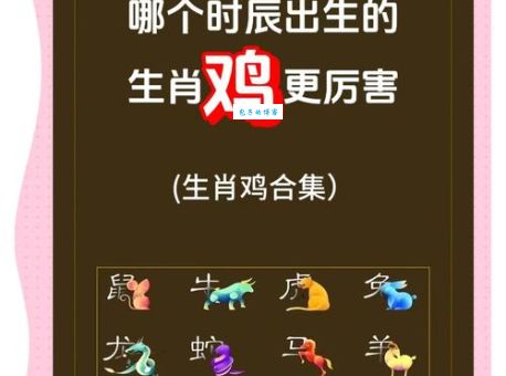 鸡犬相闻是指什么生肖，仔细落实