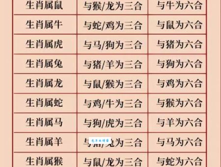 四四合八看十六是指什么生肖，仔细落实