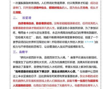 目光远大，力求摘星，决心意志皆坚定代表什么生肖，词语解析落实