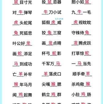 目光远大，力求摘星，决心意志皆坚定代表什么生肖，词语解析落实