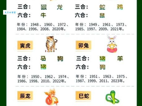 四四合八看十六指的什么生肖，最新解释落实