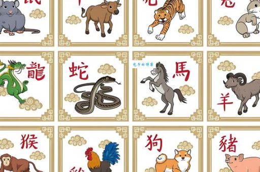 今期狗龙马出特，四四合八看十六代表什么生肖，词语解析落实