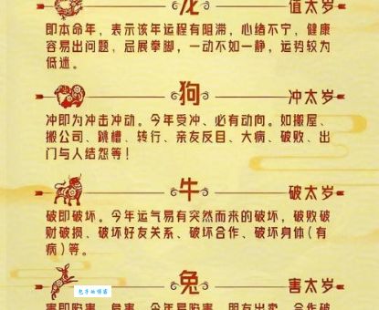 顺二连五一一现，八九不分合吉三 代表什么生肖，词语解析落实