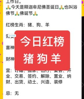 顺二连五一一现，八九不分合吉三 代表什么生肖，词语解析落实