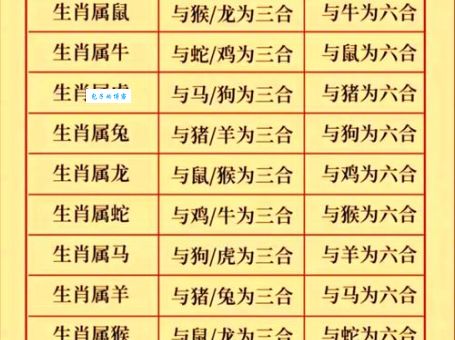 两眼盯着三二看代表是什么生肖，精选快答解释落实