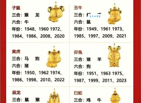 今期生肖七九开，喜结连理二三头代表是什么生肖，精选快答解释落实