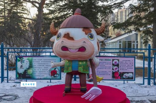 两眼盯着三二看代表指是什么生肖，在线解析落实