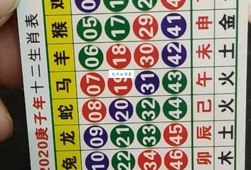 一头二头马先锋，双红波色放光彩代表指是什么生肖，在线解析落实