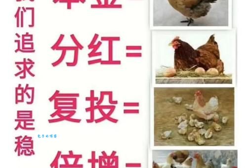 欲钱看粪堆上开花打一生肖，全面解答落实