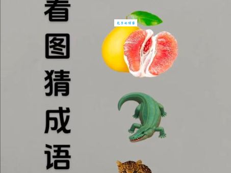 欲钱看粪堆上开花打一生肖，全面解答落实