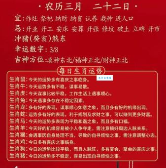 木森林寻财是指代表什么生肖，经典资料解析落实