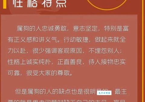 城门脚下有狗洞是指代表什么生肖，经典资料解析落实