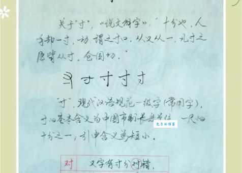 寸字旁的字有哪些快来一起学习吧