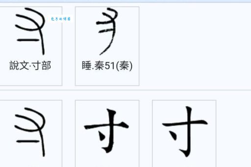 寸字旁的字有哪些快来一起学习吧