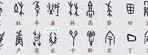 有的放矢的矢代表什么 成语中的关键解析