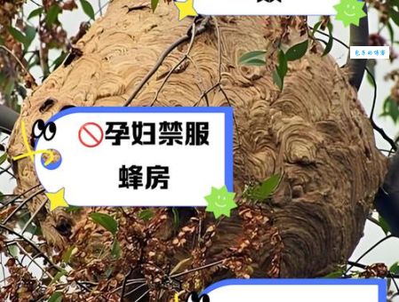 蜂房蚁穴怎么读什么意思 详细用法和解释在这里