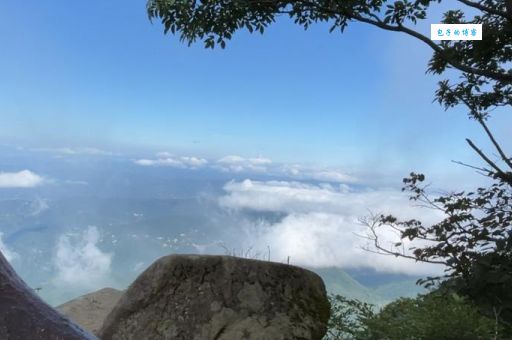 风起云涌的意思是什么专家为你详细解析
