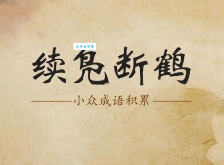 凫趋雀跃同义词有哪些这些词你都知道吗