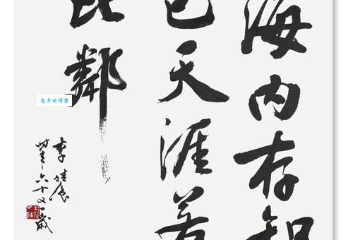 海内存知己天涯若比邻若的意思你真的懂吗