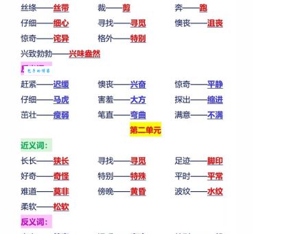 独一无二的意思和近义词有什么区别一看就懂