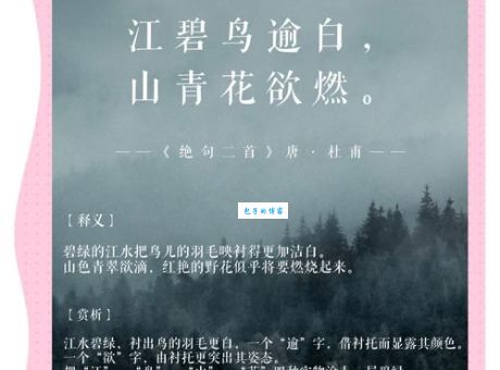 江碧鸟逾白山青花欲燃的意思解析