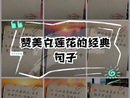白莲花啥意思为什么大家都讨厌这种人