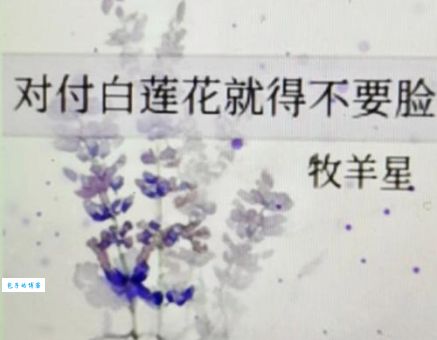 白莲花啥意思为什么大家都讨厌这种人