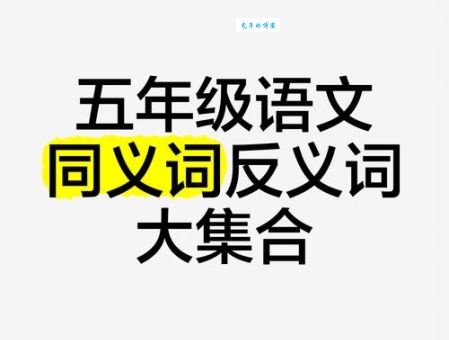 动如参商的同义词近义词反义词全解析一次学会