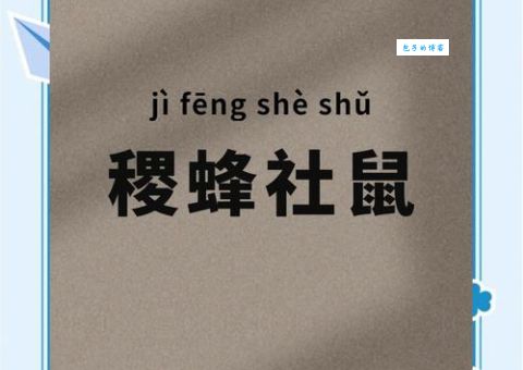 狐鸣枭噪的意思简单解释坏人作乱的生动比喻