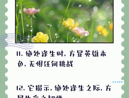 绝处逢生的意思详解 从绝望中找到希望的智慧