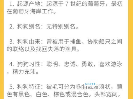 打落水狗的意思由来用法全面解读