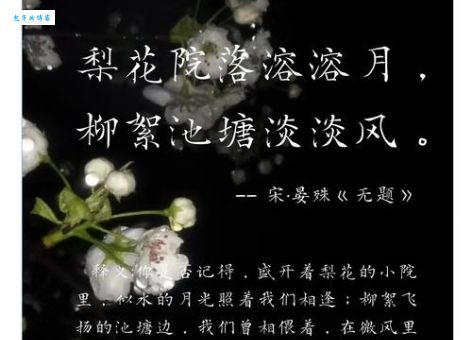 梨花院落溶溶月柳絮池塘淡淡风的含义及出处介绍