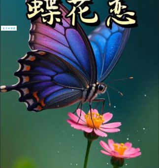 花飞蝶舞的意思原来藏着这么美的意境