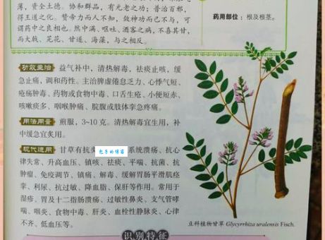 本草纲目的作者是谁带你了解这位医学大师
