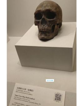 山顶洞人遗址的发现 揭开中国古人类研究的重要篇章