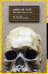 山顶洞人遗址的发现 揭开中国古人类研究的重要篇章