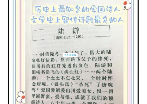 陆游的简介 他如何用诗词书写爱国人生