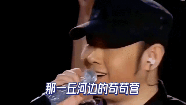 柴咲エリカ为什么突然退出娱乐圈真相